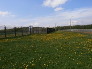 Grenzlandstreifen DUD